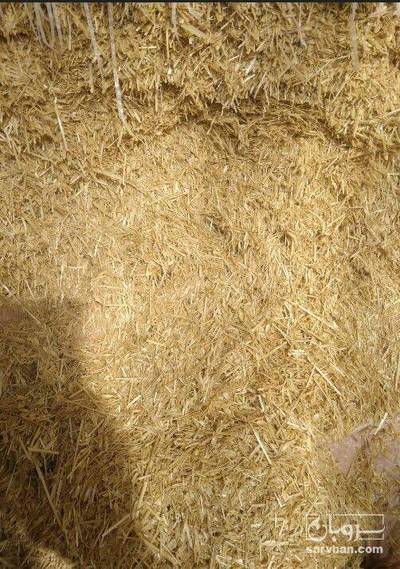 فروش کاه و کلش گندم