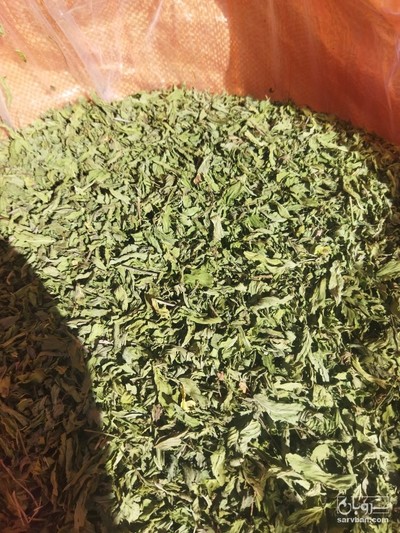 فروش نعناع خشک