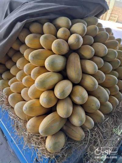 فروش خربزه جانا