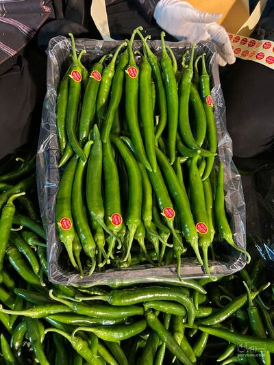 فروش فلفل شمشیری