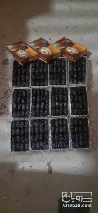 فروش خرما مضافتی