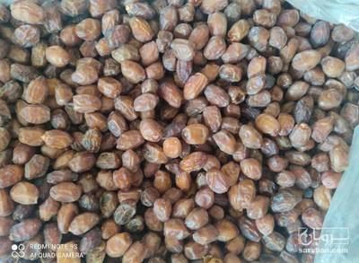 فروش خرما کلوته