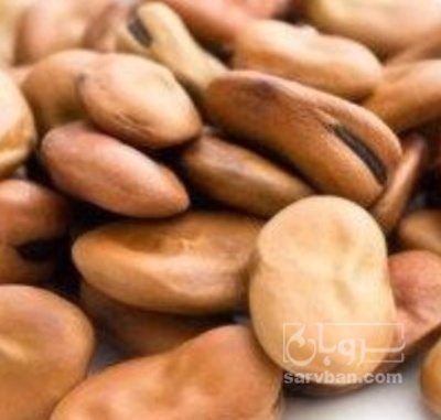 فروش باقلا خشک با قلاف