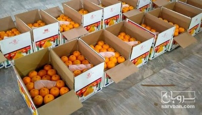 فروش نارنگی پاکستانی