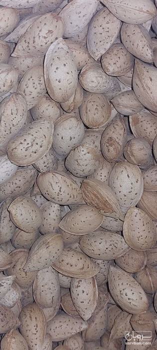 فروش بادام باپوست