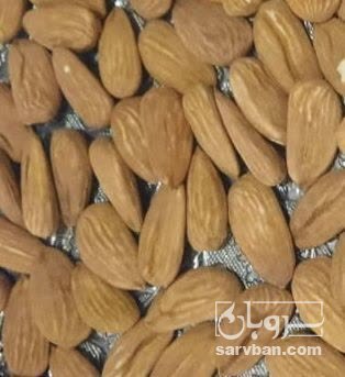 فروش بادام مامایی