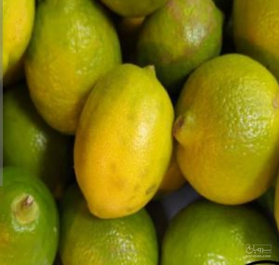 فروش لیموترش