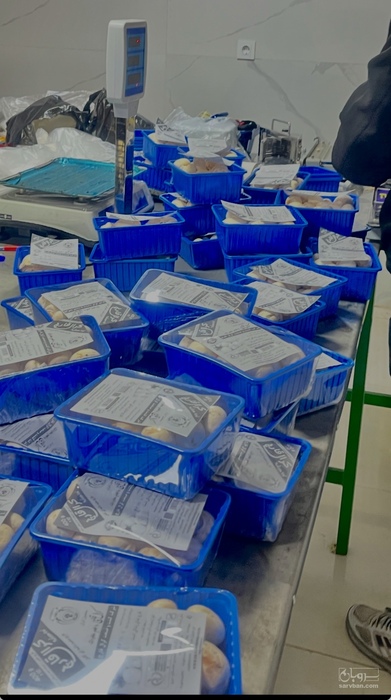 فروش قارچ دکمه ای