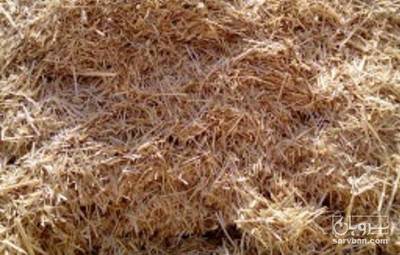 فروش کاه و کلش گندم