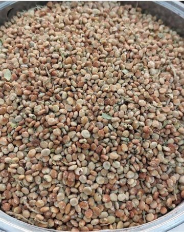 فروش سماق قهوه‌ای و قرمز