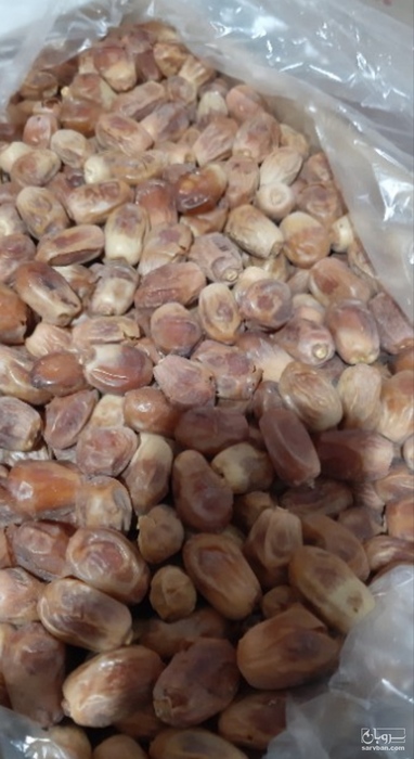 فروش خرما