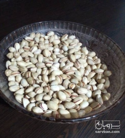 فروش پسته فندقی