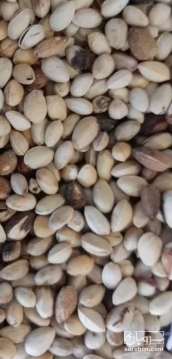 فروش پسته احمدآقایی