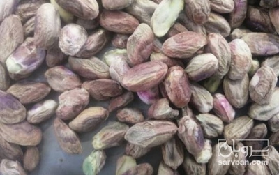 فروش مغز پسته