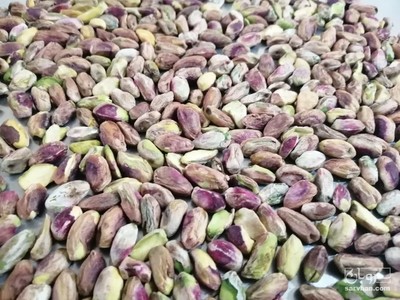 فروش مغز پسته سالم