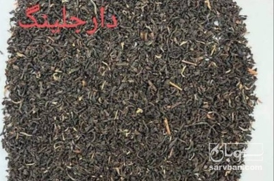 فروش چای سیاه