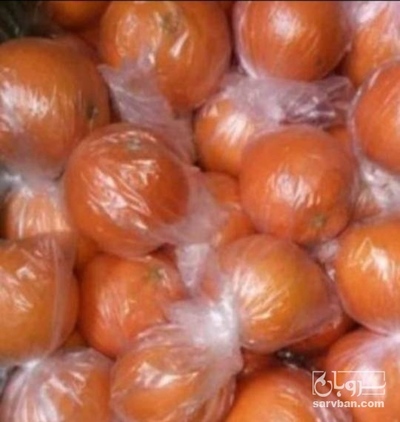 فروش پرتقال