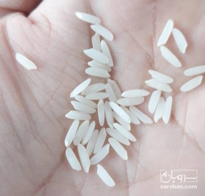 فروش برنج (مشتقات)
