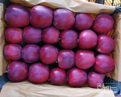 فروش سیب قرمز