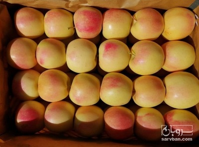 فروش سیب زرد