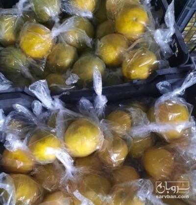 فروش لیمو شیرین