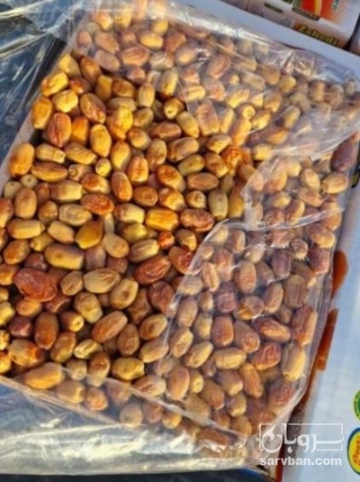 فروش خرما
