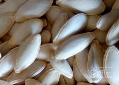 فروش تخمه  کدو بو داده