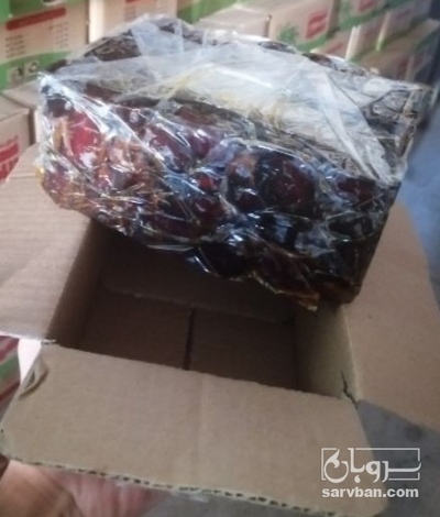 فروش خرما