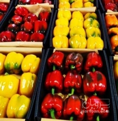 فروش فلفل دلمه ای