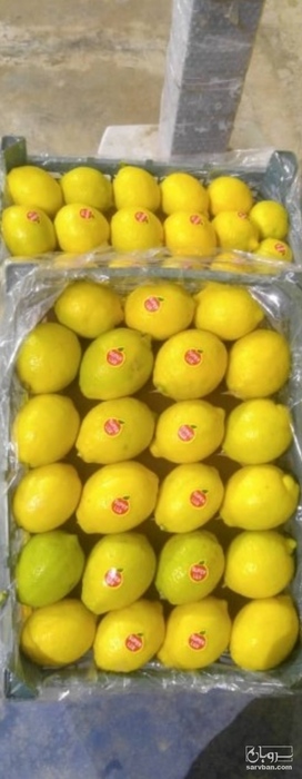 فروش لیمو سنگی