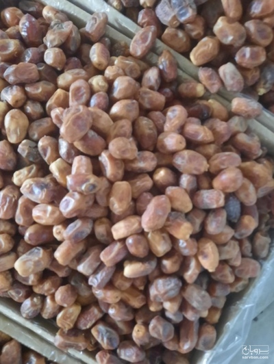 فروش خرما