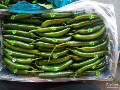 فروش فلفل تند