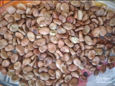 فروش باقلا خشک سالم