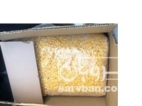 فروش ذرت مکزیکی