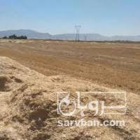 فروش کاه و کلش عدس