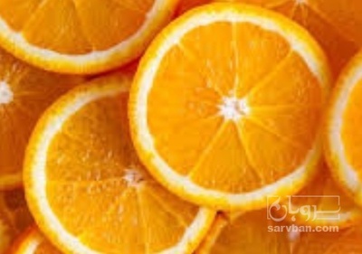 فروش پرتقال