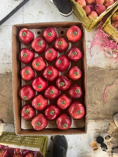 فروش سیب قرمز