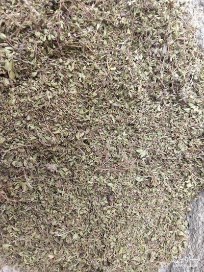 فروش آویشن خشک