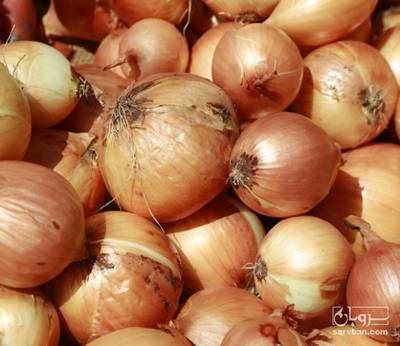فروش پیاز زرد