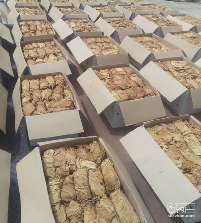 فروش تنباکو