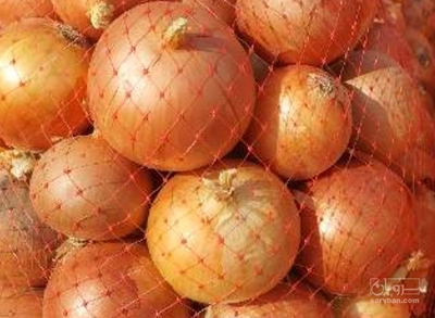 فروش پیازطلایی