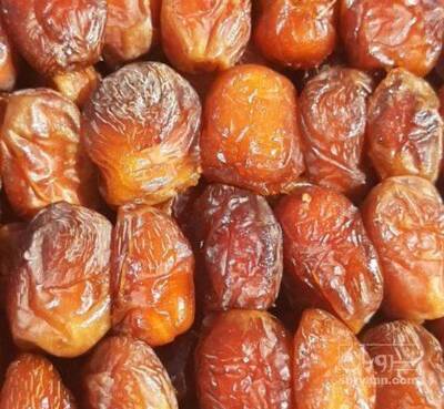 فروش خرما مرداسنگ
