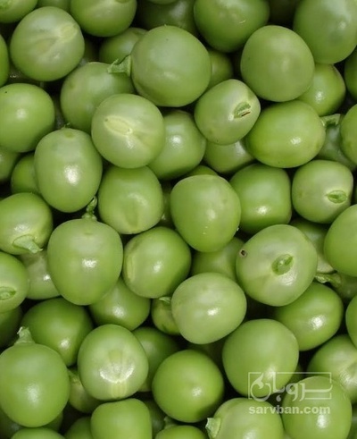 فروش نخود فرنگی منجمد