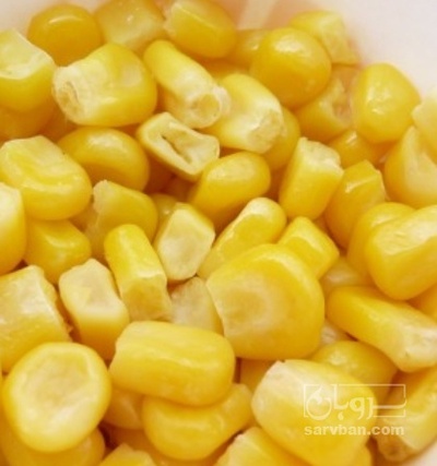 فروش ذرت منجمد