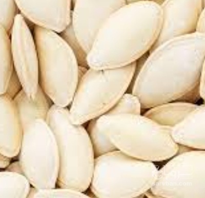 فروش تخمه  کدو بو داده