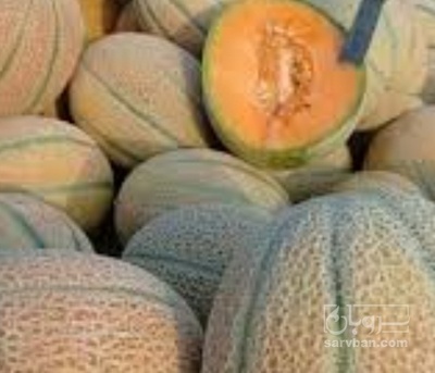 فروش طالبی جانا