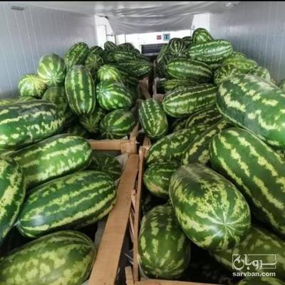 فروش هندوانه