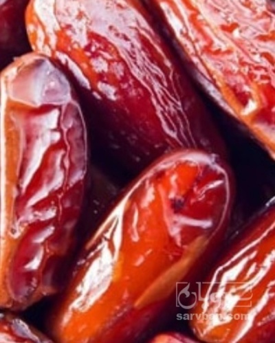 فروش خرما ربی