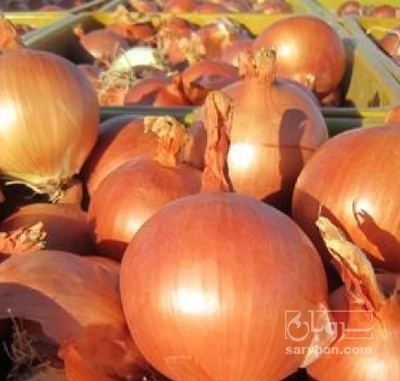 فروش پیاز طلایی