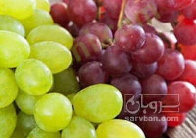 فروش انگور